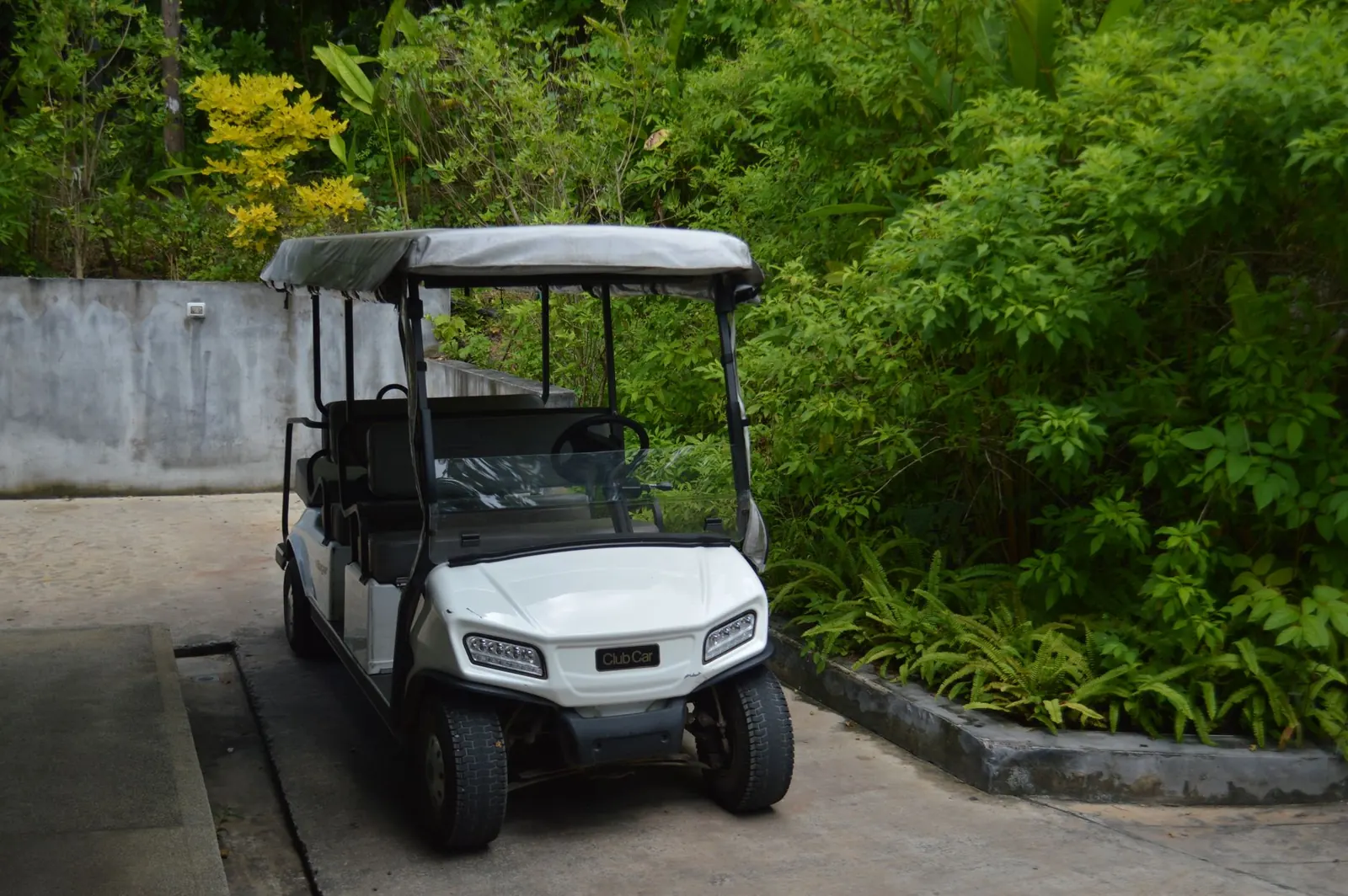 Golf Carts and Low-Speed Vehicles in Florida Communities: Which One Do You Need?