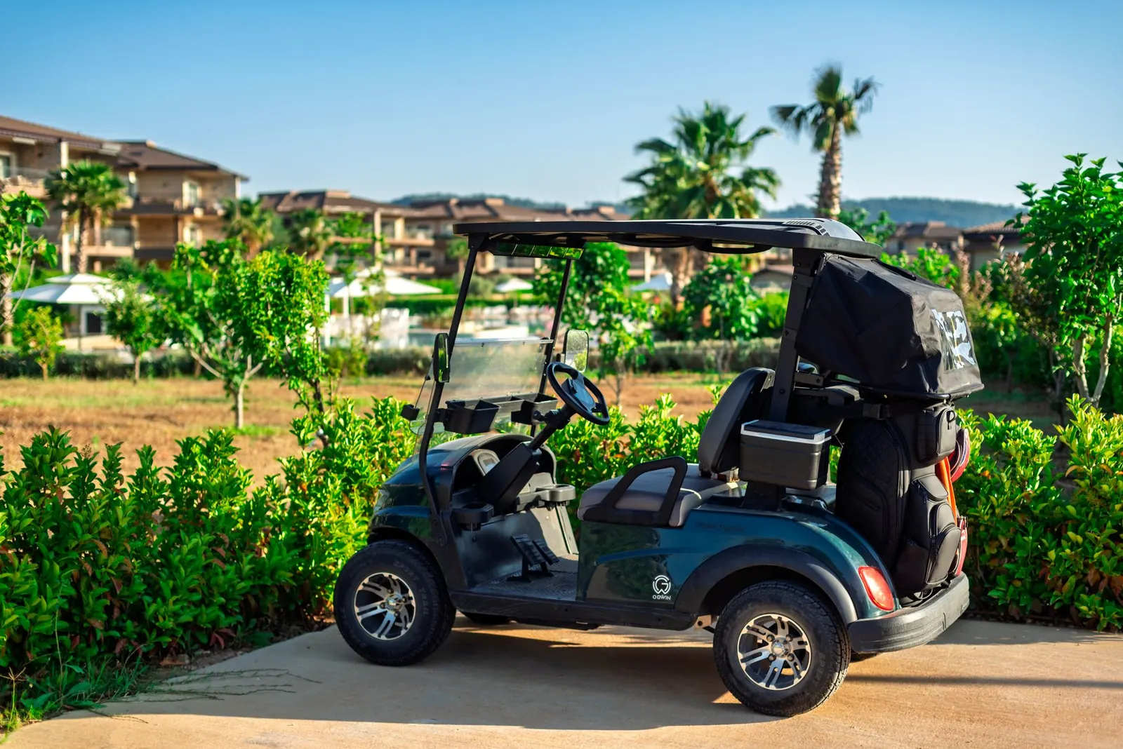 Golf Carts on Florida Roads: What Section 316.212 Allows