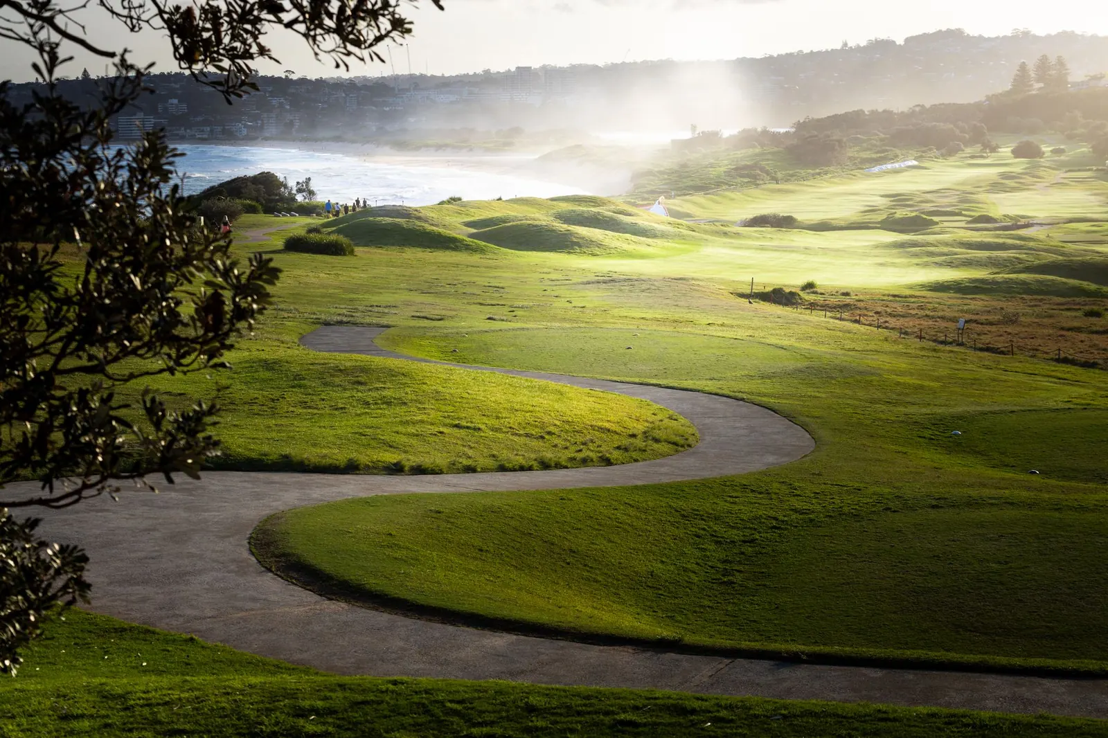 A winding cart path through a green golf course in morning light